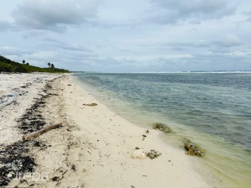 BEACHFRONT LAND LITTLE CAYMAN