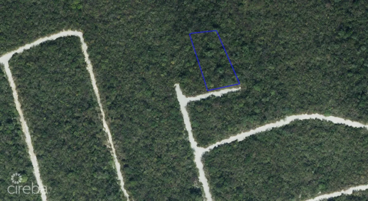 SELWORTHY GROVE CAYMAN BRAC (LARGE .37 ACRE LOT)