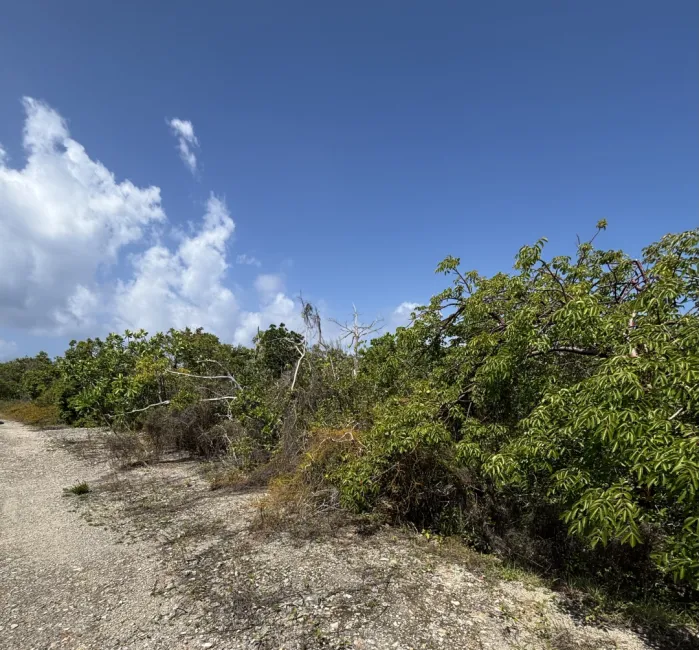 LITTLE CAYMAN LOT CLOSE TO POINT OF SAND