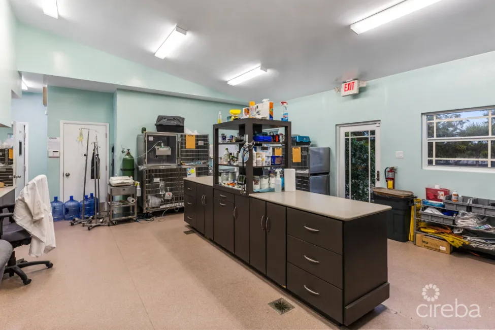 ISLAND VETERINARY SERVICES VET CLINIC