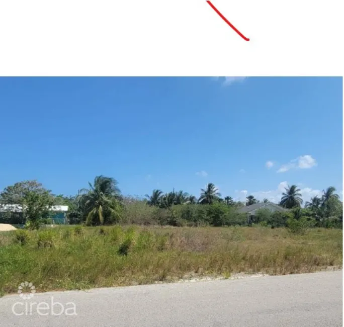 NEEZAS' RD