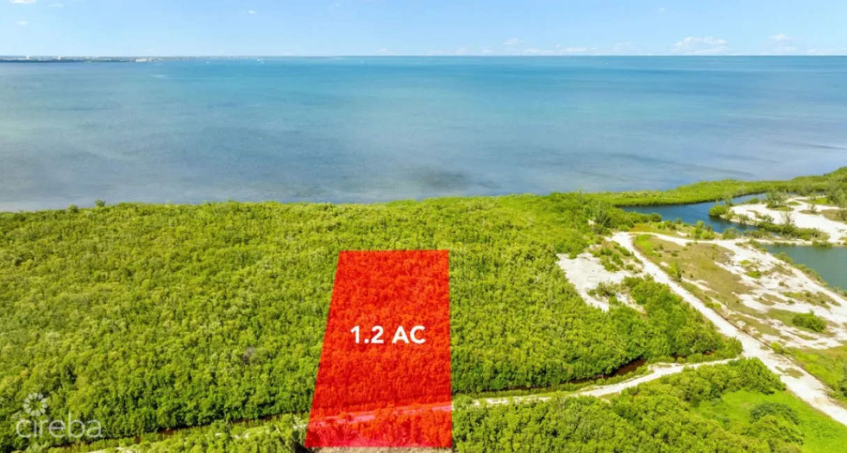 1.2 ACRE LOW DENSITY PARCEL