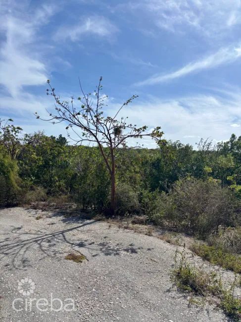 LITTLE CAYMAN EAST LOT - .5 ACRES