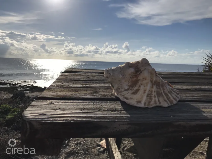 LITTLE CAYMAN CORNER LOT FOR SALE