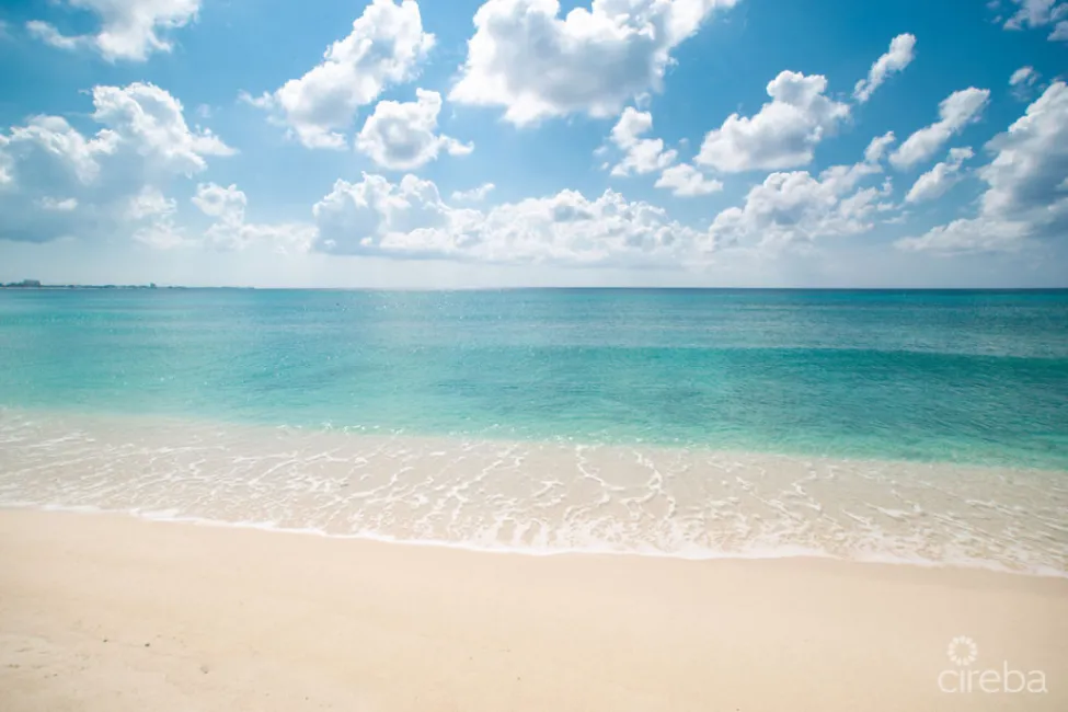 CHRISTOPHER COLUMBUS PENTHOUSE