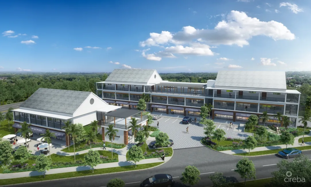 THE SHOPS AT BUTTONWOOD