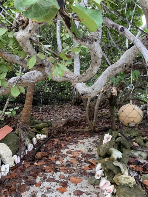 SOON COME - SOUTH SIDE EAST OCEAN FRONT LAND