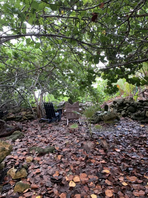 SOON COME - SOUTH SIDE EAST OCEAN FRONT LAND