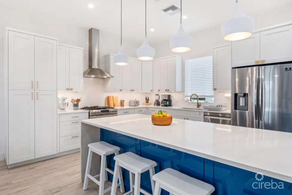 BOGGY SANDS CLUB TURTLE 2