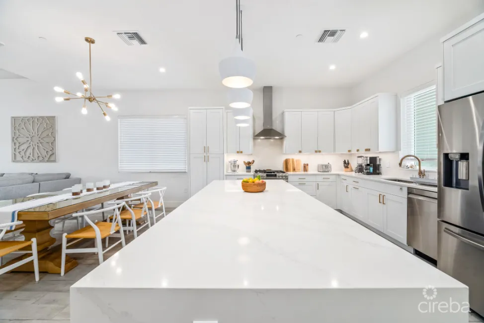 BOGGY SANDS CLUB TURTLE 2