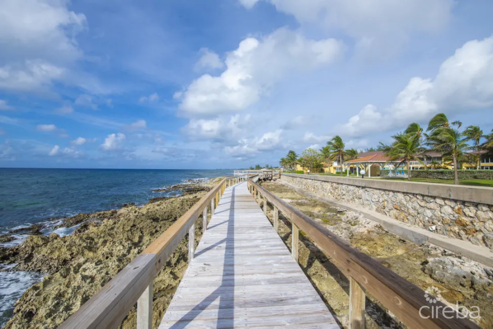 OCEAN CLUB RENOVATED 2 BED/2.5BATH