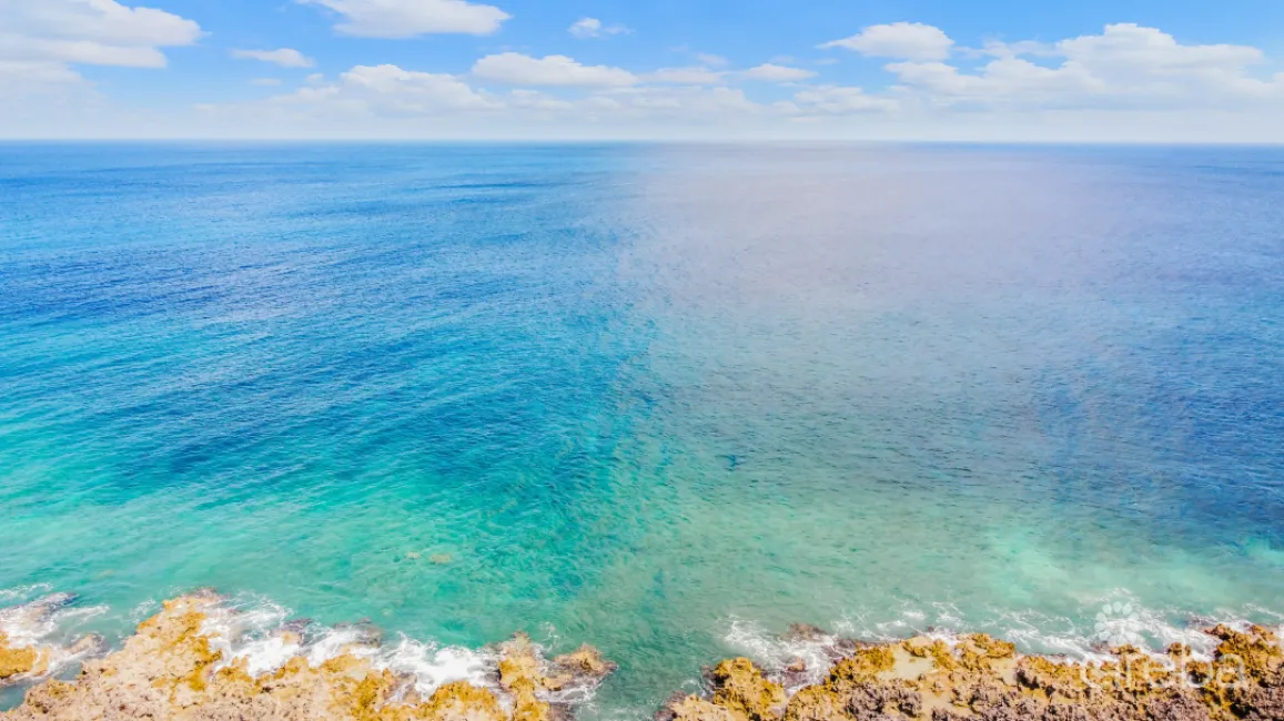 4.62 ACRES OF LAND AND PROPERTY ON CONCH POINT RD