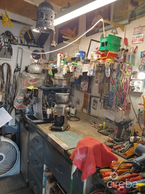 GREEN TEC CAYMAN LTD