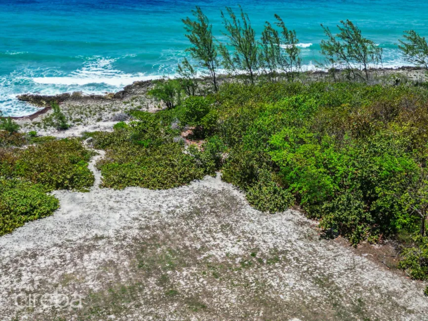 OCEAN FRONT WEST BAY LAND CONCH POINT