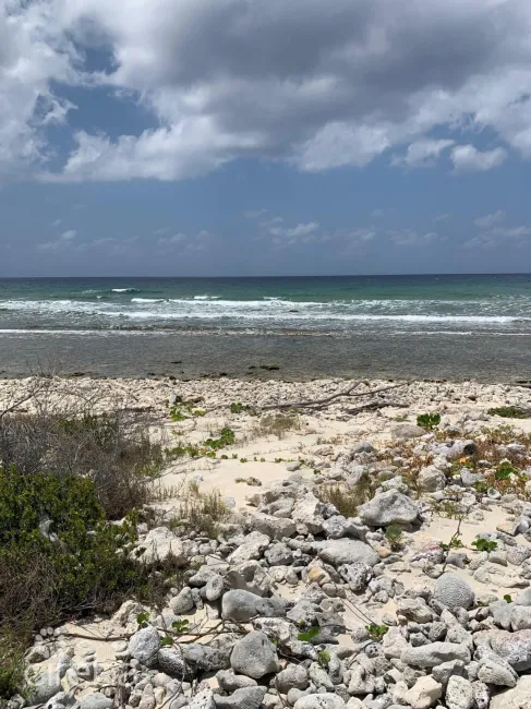 NORTHSIDE OCEAN FRONT AND INLAND PROPERTY