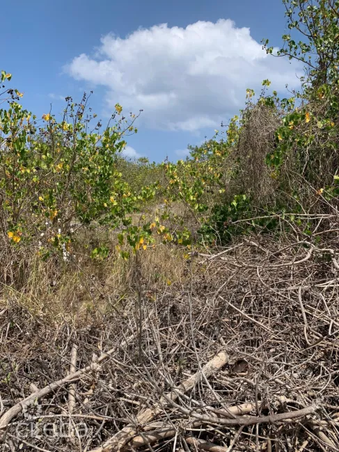 NORTHSIDE OCEAN FRONT AND INLAND PROPERTY