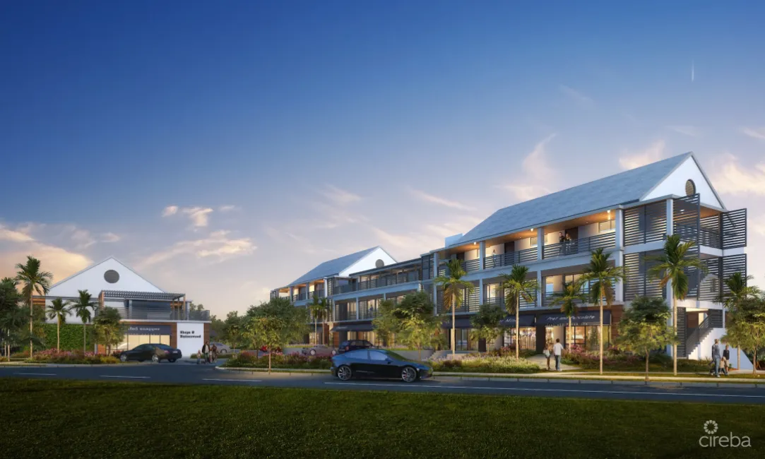 THE SHOPS AT BUTTONWOOD