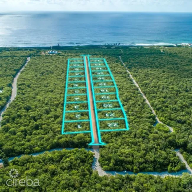 CAYMAN BRAC BLUFF (ISABELLA ESTATES LOT # 20)
