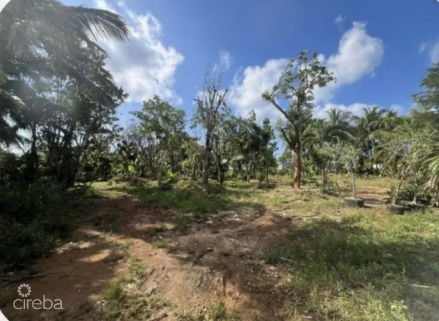 DEVELOPMENT OPPORTUNITY - HIGH & DRY LOT IN NORTHWARD - .53 ACRES