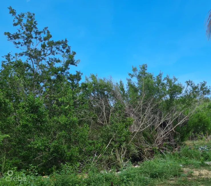 .3 ACRE LOT NORTH SIDE