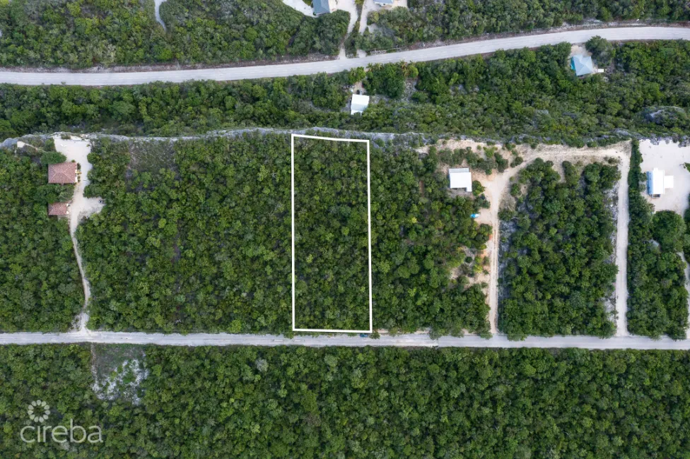 CAYMAN BRAC 1.05 ACRE PARCEL SOUTH SIDE EAST WITH OCEAN VIEW