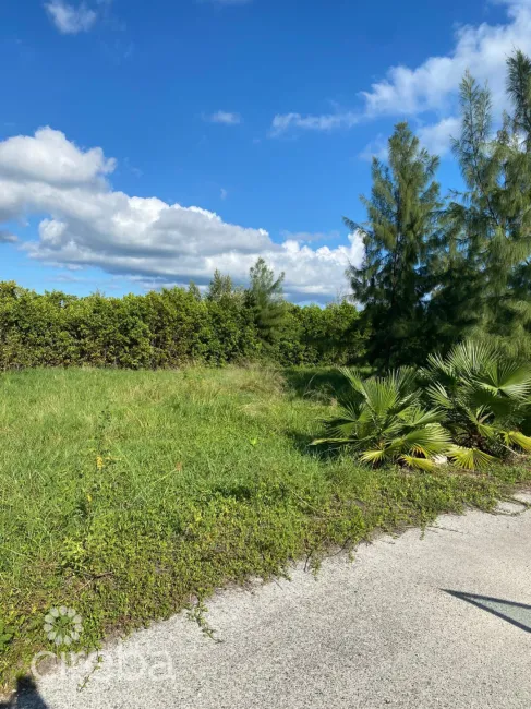 PEASE BAY LAKES LAKEFRONT LOT